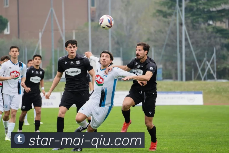 买球平台生态图